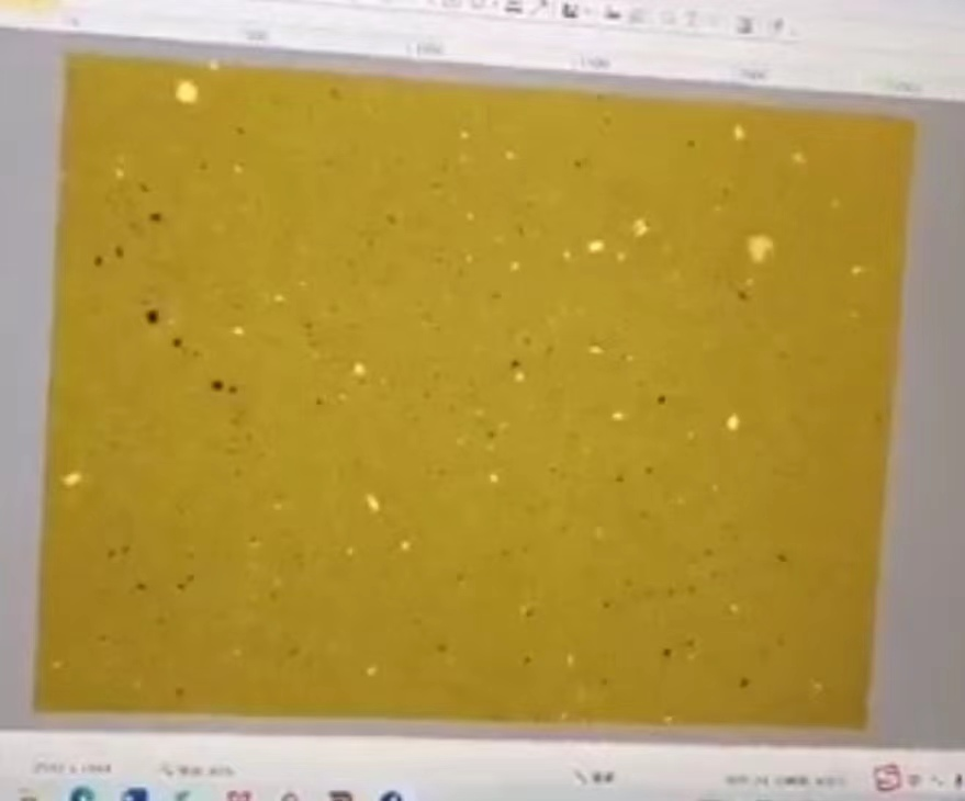 1680752440842825.png 圖片2.png